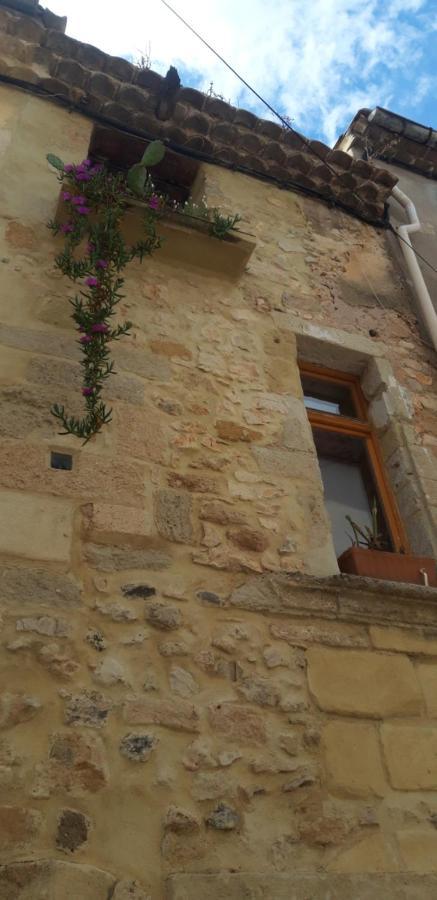 Gites Chez Daniel "Languedoc" Florensac 外观 照片