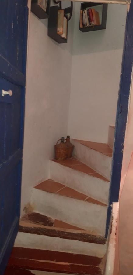 Gites Chez Daniel "Languedoc" Florensac 外观 照片